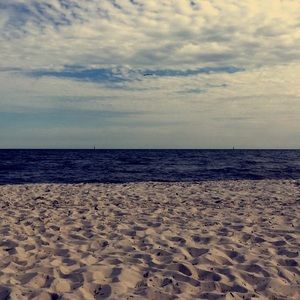 Meet your Posher, Molly